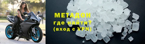 прущие грибы Вяземский