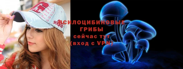 трава Горно-Алтайск