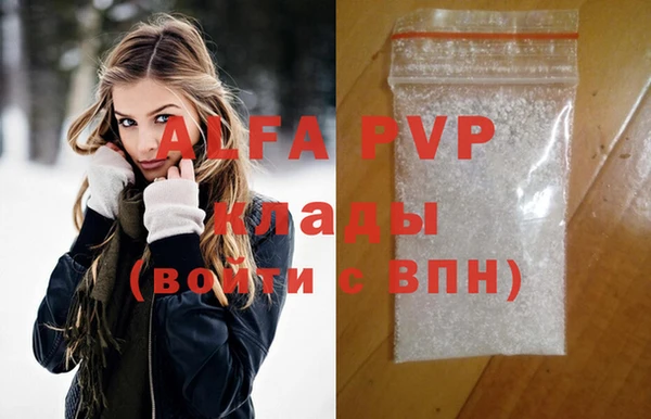 прущие грибы Вяземский